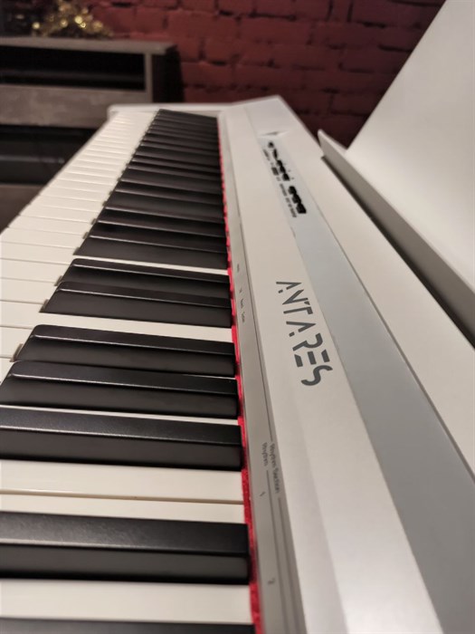 Купить Antares D-300 W цифровое фортепиано со стойкой и педальным узлом ...