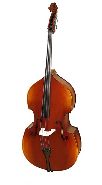 B110-3/4 Rhapsody Student