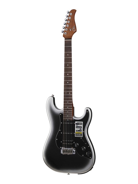 GTRS P800-Professional-800-DS