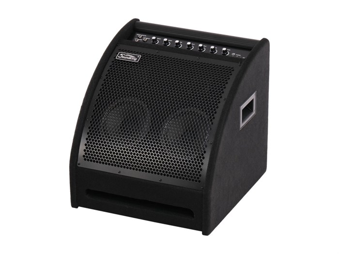 DS200 Монитор для электронной ударной установки, 200Вт, Soundking