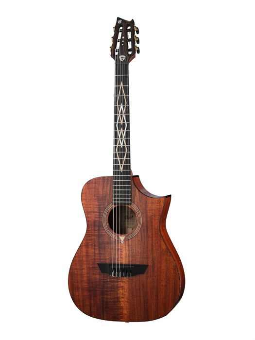 Cort LUXE-NYLON-WCASE-BR Frank Gambale Luxe Series Классическая гитара со звукоснимателем, с чехлом