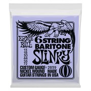 Ernie Ball 2839