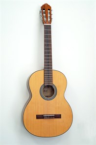 Cort AC50-SG