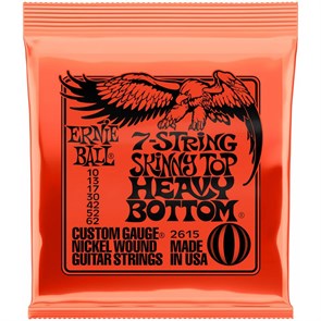 ERNIE BALL 2615