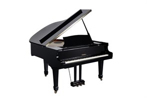 Medeli GP805