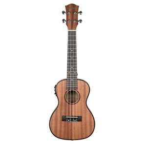 Cascha HH-2035E