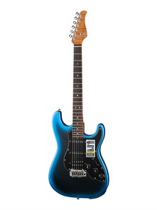 GTRS P800-Professional-800-DN