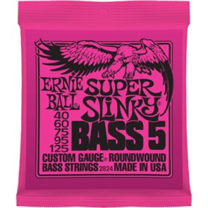 ERNIE BALL 2824