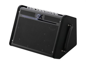 iC-100