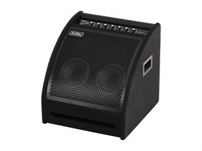 DS200 Монитор для электронной ударной установки, 200Вт, Soundking