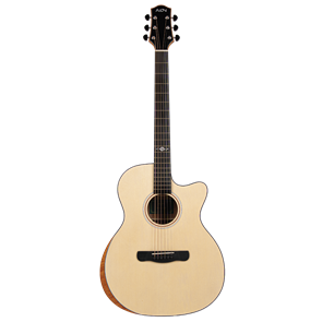 Aion Q10M - акустическая гитара