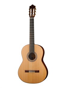 Prodipe JMFSOLOIST700 Классическая гитара Soloist 700 4/4
