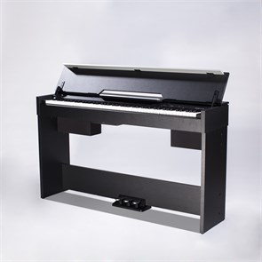Medeli CDP5000-BK Цифровое пианино компактное