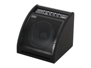 Soundking DS50 Монитор для электронной ударной установки, 50Вт