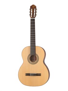 NewTone SCLSNT Silena Классическая гитара