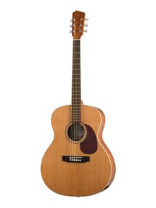 Hora J10400 Jumbo Solo Акустическая гитара