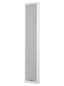 TADS DS-100F Акустическая система, 100Вт