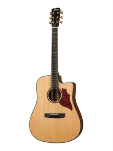 Joyo JWGT-02 Гитара акустическая с чехлом