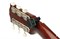 Planet Waves PW-CT-12 NS Mini Headstock Тюнер на прищепке 3251 - фото 12915