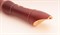 Meinel M206-1-BROWN Блокфлейта сопрано 3328 - фото 13411