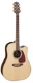 Takamine GD71CE NAT