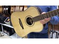 Parkwood P810ADK-WCASE-NAT Акустическая гитара массив адирондакской ели с кейсом 4201 - фото 17115