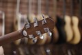 Crafter D-7/NС акустическая гитара с чехлом 3984 - фото 17448 Crafter D-7/NС акустическая гитара с чехлом 3984 - фото 17448