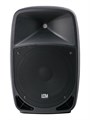 Leem PR-12HR - Акустическая система с 2 микрофонами, аккумуляторная, 120Вт 5417 - фото 26395