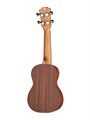 Ramis RS-01 - укулеле сопрано 5727 - фото 28298