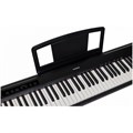 ARAMIUS APS-100 BK - электронное пианино с полувзвешенной клавиатурой, 88кл., пластик, цвет черный 5739 - фото 28441