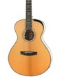Cort Gold-Passion-WCASE-NAT - электро-акустическая гитара, цвет натуральный, с чехлом 5970 - фото 29649