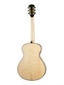 Cort Gold-Passion-WCASE-NAT - электро-акустическая гитара, цвет натуральный, с чехлом 5970 - фото 29651
