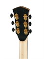 Cort Gold-Passion-WCASE-NAT - электро-акустическая гитара, цвет натуральный, с чехлом 5970 - фото 29654