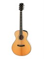 Cort Gold-Passion-WCASE-NAT - электро-акустическая гитара, цвет натуральный, с чехлом 5970 - фото 29658