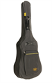SQOE S340-FG-CS Set - гитара акустическая с чехлом и аксессуарами 6013 - фото 29933