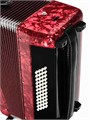 Aurus JH2005-RED Аккордеон 34/48/5 красный, с футляром, 6101 - фото 30501