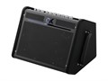 iC-100