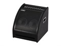DS200 Монитор для электронной ударной установки, 200Вт, Soundking
