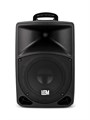 PR-8 Акустическая система c радиомикрофоном, аккумуляторная, 50Вт, Leem 6619 - фото 32619