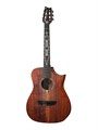Cort LUXE-NYLON-WCASE-BR Frank Gambale Luxe Series Классическая гитара со звукоснимателем, с чехлом