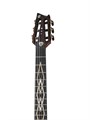 Cort LUXE-NYLON-WCASE-BR Frank Gambale Luxe Series Классическая гитара со звукоснимателем, с чехлом 6252 - фото 33295