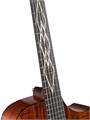 Cort LUXE-NYLON-WCASE-BR Frank Gambale Luxe Series Классическая гитара со звукоснимателем, с чехлом 6252 - фото 33303