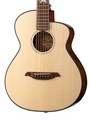 Mollo Guitar TM-12C - Акустическая гитара, с чехлом 6883 - фото 34038