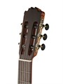 Martinez MM4 - Классическая гитара 6903 - фото 34139
