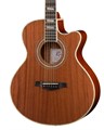 Ramis RA-C02C-NL Акустическая гитара, с вырезом 6985 - фото 34658