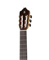 Alhambra 817-8P Classical Concert 8P Классическая гитара 6989 - фото 34682