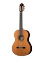 Alhambra 819-9P Classical Concert 9P Классическая гитара, с футляром