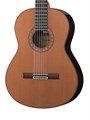 Alhambra 822-10P Classical Concert 10P Premier Классическая гитара, с футляром 6991 - фото 34699