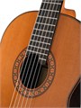 Alhambra 822-10P Classical Concert 10P Premier Классическая гитара, с футляром 6991 - фото 34703