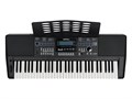 Medeli A300 Синтезатор, 61 клавиша 6994 - фото 34726